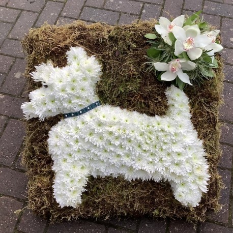 2D Scottie Dog funeral tribute