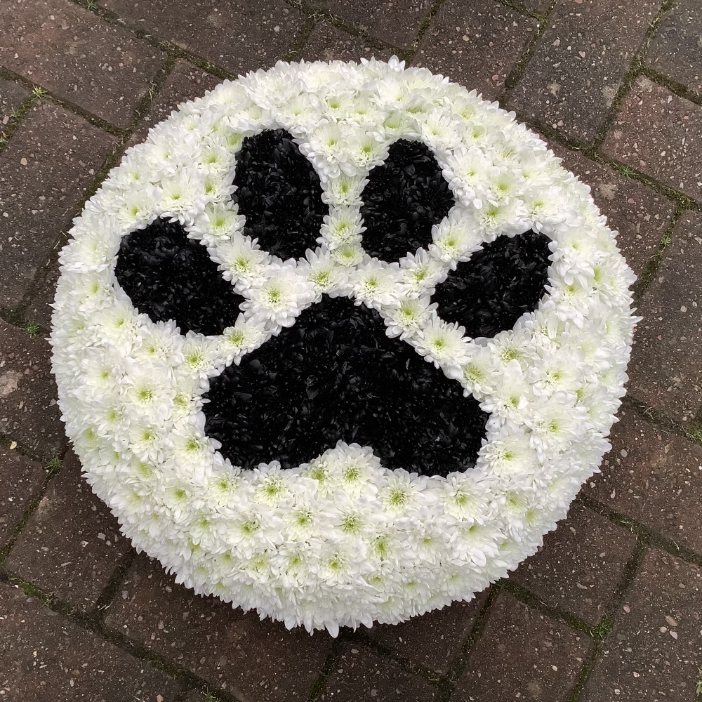 2D Paw Print